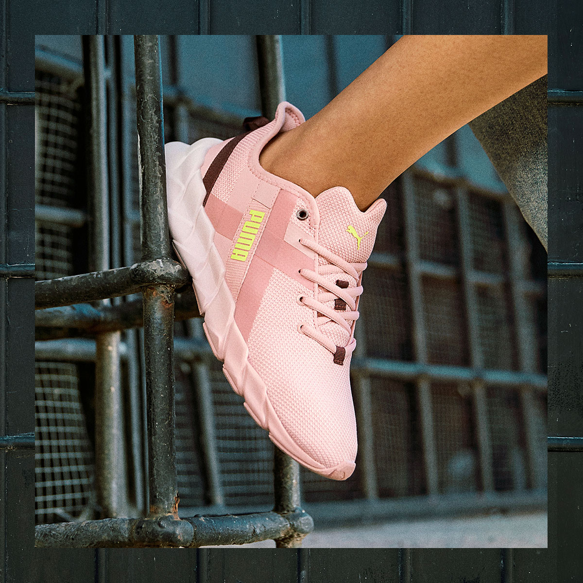women's ward hi puma